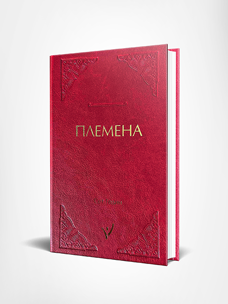 Племена от Сет Годин